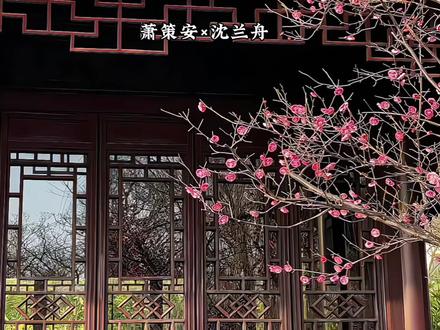 萧二霸王硬叫爹名场面 #将进酒 #沈兰舟 #萧策安 #将进酒广播剧