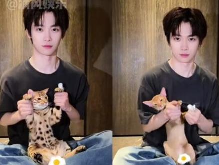 速速给我们小十一来个九宫格自拍#梓渝 #zy #极速小鱼 #猫咪