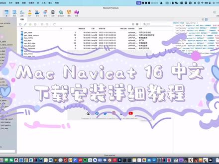 Mac navicat16 中文版本下载安装全教程 #mac #macbook #数据库 #软件开发 #Java