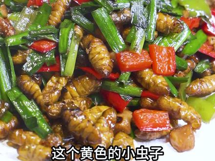 韭菜炒蚕虫看着吓人,但其实非常美味,你要来试下嘛#韭菜炒蚕蛹
