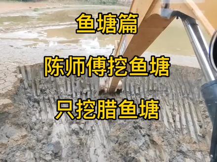 老铁们,这种鱼塘该怎么挖,有没有更好的办法?艾特一下专业师傅 #挖掘机 #陈老师开挖机 #抖音小助手