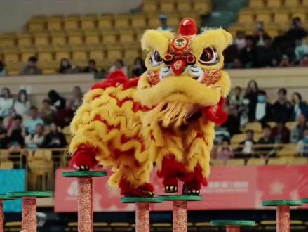 扬州职大获南狮自选项目铜牌