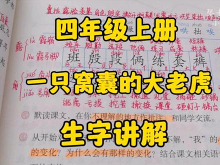 四年级上册:《一只窝囊的大老虎》生字讲解着重把握多音字的用法 #小学语文 #创作者扶持计划 #语文学习 #部编版语文 #生字