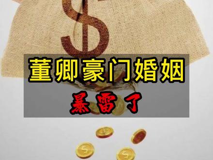 一姐董卿百亿豪门婚姻暴雷!神秘上海隐形富豪失联。 #隐形富豪 #董卿#我在抖音说财经