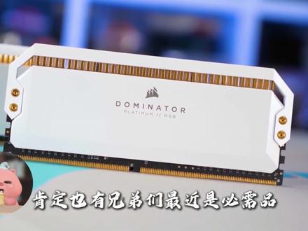 兄弟们再坚持一下,就能看空中飞人了 #内存条#电脑diy #空中飞人#内存涨价 #电脑配置