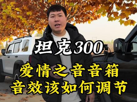 25款坦克300车主们,音乐不会调节的一条视频教会大家#坦克300#坦克300hi4t #硬派越野 #坦克