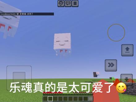 我的世界:乐魂真的是太可爱了#乐魂#我的世界