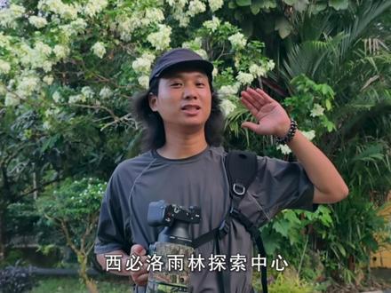 走入马来西亚沙巴婆罗洲雨林夜行性动物的世界,这里有最小最萌的眼镜猴;和树叶一样的枯叶螳螂;还有会飞的鼯鼠。#热带雨林 #野生动物零距离 #眼镜猴 #枯叶螳螂 #鼯鼠