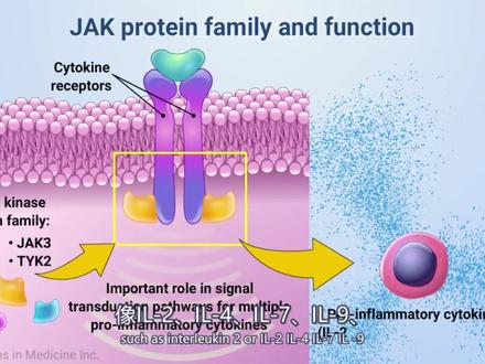 JAK抑制剂与JAK-STAT通路(高清动画)