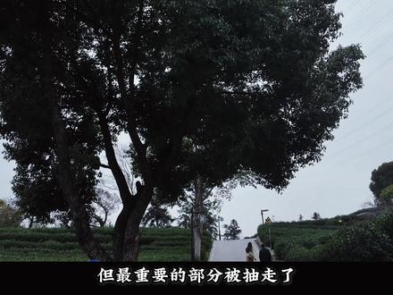 #自我成长 #呼啸山庄
#情感共鸣 靠近你,就靠近了痛苦;远离你,却远离了幸福。看《呼啸山庄》时,忽然想到了《窄门》。
希斯克利夫用壮烈的疯癫去爱,阿丽莎却用极致的理性来保持爱。学生时读不懂的名著,如今渐渐明白——文学常把人性推到天平的两端,让善恶开出极端的花。
一部作品能成为经典,往往不是因为传递了某种“正确”的价值观,而是因为它诚实地呈现了人物命运的潮起潮落。我们不必成为他们,却可以通过他们的破碎,照见自己的灵魂——如果我是他,或她,又会如何选择?
凯瑟琳的痛苦,或许不在于希斯克利夫或林顿,而在于“我想要的人生”与“我该过的人生”之间的撕扯。她爱希斯克利夫狂野的灵魂,却也渴望世俗的安稳——这何尝不是许多人的真实写照?
而希斯克利夫的痛苦,更像是一种执念:我是个疯子,我只愿你也疯。我们要不计得失地燃烧,像两团火,哪怕最终只剩灰烬。
爱而不得,有时不是遗憾,而是注定。本不是同一类人,又怎能一起燃烧到底?
那么你呢?如果是你,会走向哪一扇门——是呼啸的旷野,还是那一道窄门?