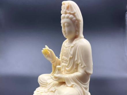 象牙果和菩提果的区别#抖音921好物节