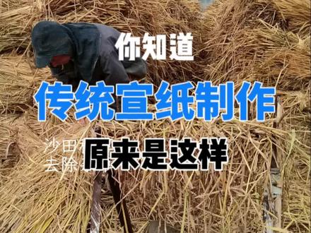 “纸寿千年,墨韵万变”,传统宣纸制作。#宣纸 #传统文化 #手艺人 #非物质文化遗产 #老手艺