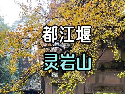 #创作灵感 成都开车自驾1.5小时便可到达,也有成都直达都江堰的高铁#成都周边游 #旅行推荐官 #千年银杏古树 @抖音原创保护中心