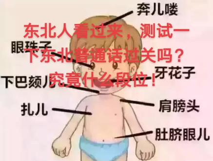 东北话!基础知识测试!看看你究竟是不是合格的东北人😂