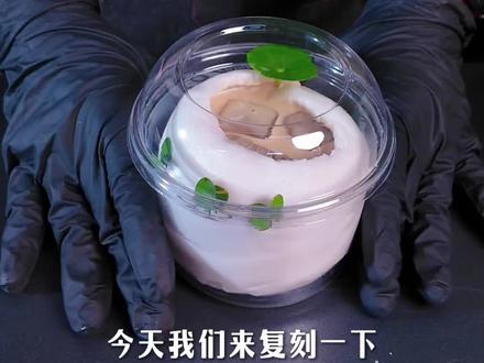 瑞希新品一整颗生椰 ✨瑞幸排队王复刻✅
💥准备材料:
生椰乳100ml
椰浆150ml
椰子水200ml
意式浓缩1份
冰块适量
椰子蛋1个
✨核心步骤👇
1. 在雪克杯中加入100ml生椰乳、150ml椰浆
2. 倒入200ml椰子水,加1份意式浓缩
3. 放适量冰块,搅拌均匀后倒入椰子蛋
4. 简单装饰,完成✅
✨椰香+咖啡香拉满,和门店口感无差别❗
想学更多饮品,我们可以为您服务,更多茶饮配方持续更新✨
#瑞辛 #瑞希咖啡 #一整颗生椰 #椰子蛋 #瑞辛新品