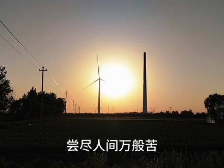 如果你提前知道了这一生是这样的 你还会来吗 说实话 别撒谎 浮生未得一时闲 风雨相随年复年 若知世事总如烟 可愿重来赴此缘 尝尽人间万般苦 仍惜俗世几分甜 万般过往皆看淡 初心不负自安然 纵使前路多坎坷 亦携温柔渡流年#治愈系风景#情感共鸣#人生感悟