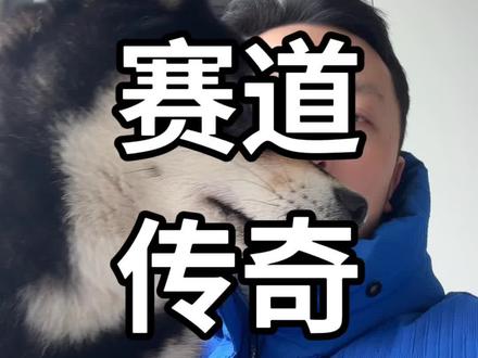 不要恶意解读赛道传奇