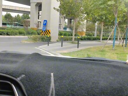 给小狗办狗证需要花费多长时间多少钱,哪些手续呢#办狗证 #狗证 #萌宠出道计划