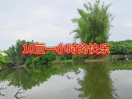 钓鱼佬的快乐3小时🎣
#钓鱼 #罗非鱼 #渔获分享 #一瓶搞定