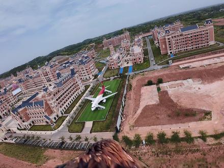 以后飞老鹰了……
#无人机新规 #老鹰第一视角 #高校全景