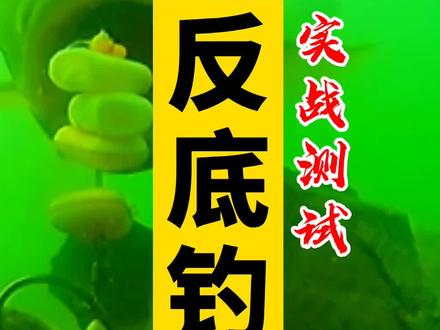 反底钓实战测试(上) #欧式钓组 #罗尼钓组 #反底钓法