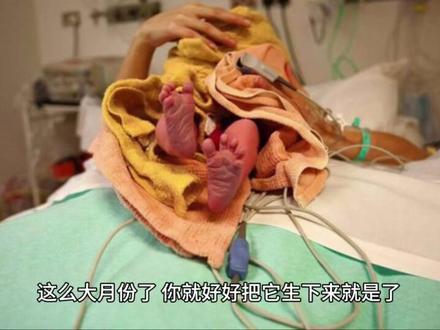 老张家的七个女儿《第二季第四集》#上热门