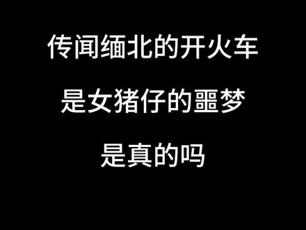 传闻缅北的
开火车
是女猪仔的噩梦
是真的吗#小说 #网文