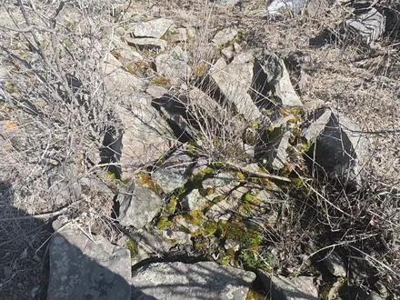 第一集:鸡冠山探险,神秘洞腔。 #户外徒步登山