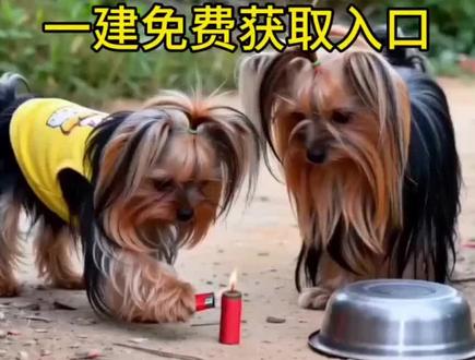 来了来了 AI萌宠炸铁盆特效制作教程 Ai萌宠炸狗盆制作模板 萌宠炸够盆AI特效免费制作入口#剪映#剪映模板#ai萌宠炸狗盆制作工具 猫猫 狗狗 各种宠物都可以制作 ai萌宠炸狗盆特效高清无水印一建获取 哈哈 真的太好玩了