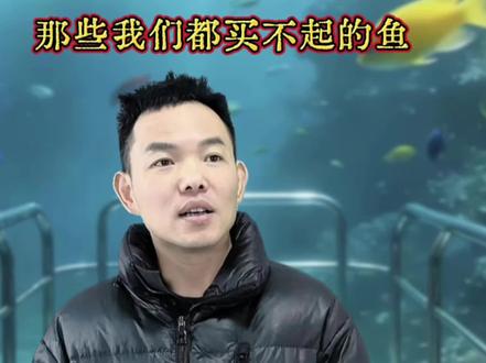 那些我们都买不起的鱼,你还见过有多少啊?#每天跟我涨知识 #用抖音记录人生 #一定要看到最后 #鱼跃龙门大吉大利 #一人分饰多角
