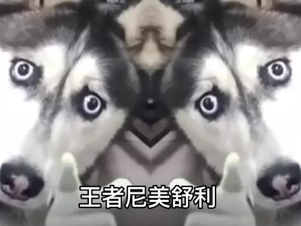 传送之花?错!重生之花√