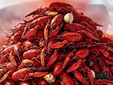 假如被困在雪山深处,你会选择哪一个食物压缩球呢? 假如被困在雪山深处,你会选择哪一个食物压缩球呢?#ai解压视频