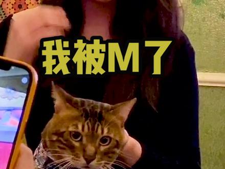 对不起熬不住了...还是决定把见见卖了... @DOU+小助手