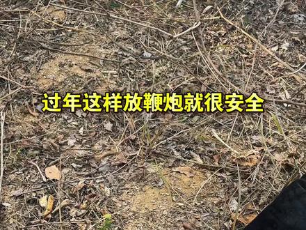 过年这样放鞭炮就很安全了 @伊利 #马年搭子选伊利