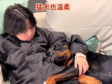 刀疤坨 哥们,让让,给点地方#萌宠日常记录 #狗和孩子