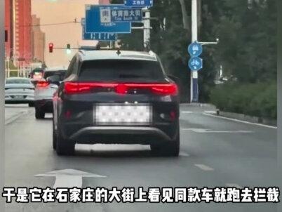 现实版忠犬八公!它拦下所有的大众ID6,以为这样就能见到妈妈 #金宝 #波音达犬 #金宝的妈妈 #刘传奇 #忠犬