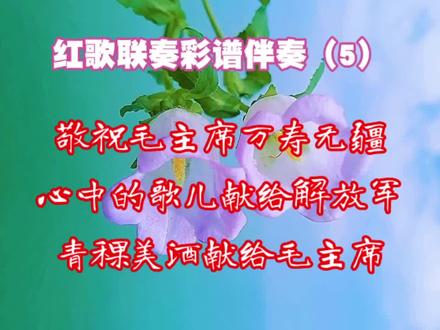 红歌联奏伴奏(5)#动态彩谱伴奏