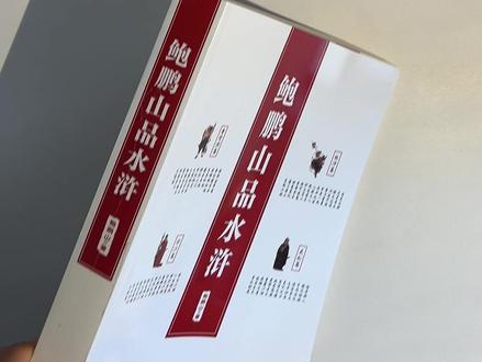 梁山根本不是好汉天堂?易-中天盛赞此书:比原著有思想,比论文有意思,彻底看透人心与潜规则!#水浒传 #鲍鹏山 #好书分享 #四大名著 #知行读书
