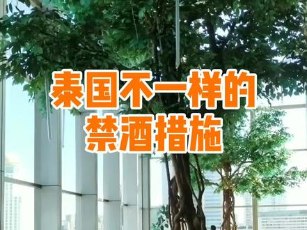 泰国佛系禁jiu措施... #泰国生活日常 @抖音小助手