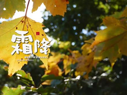 【主播说节气】今日霜降!你听见远处冬天的脚步声了吗?#二十四节气#霜降#霜降节气#霜降吃柿子 #吴兴(记者:秦乐妍 李梦童)