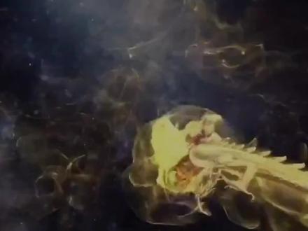 在《山海经·南山经》中有载:有一种鸟,形状像鸡,有着五彩斑斓的羽毛,名字就叫凤凰,它头上的羽毛代表德、翅膀的羽毛代表义、背上的羽毛代表礼、胸部的羽毛代表仁、腹部的羽毛代表信,可见,这是自带“五德”的神鸟瑞禽。
#国学文化 #神话 #山海经 #山海经异兽录 #中国神话