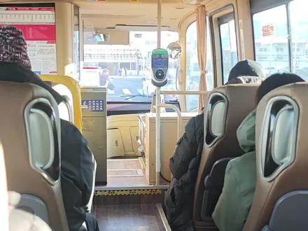 T61路无人售票车
报站路段:紫运中路→北京通州站
运行方向:通州辛店公交场站→北京通州站#北京公交 #公交车 #北京通州站