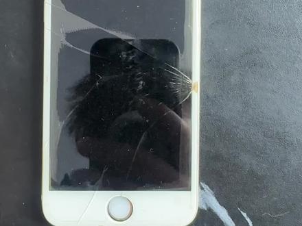 以后家里的旧手机,不要的手机统统不要扔掉或者拿去换不锈钢脸盆了,里面真的拆出了足足五块黄金。难怪当初买来这么贵!!!#苹果手机有黄金