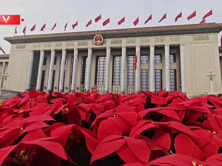 习近平将举行仪式欢迎西班牙国王费利佩六世访华