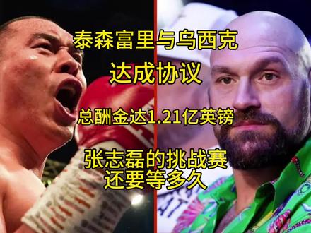 #拳击 #张志磊#泰森富里VS乌西克 张志磊的挑战权可能要等到2025年,不过他现在有很多很好的选择。