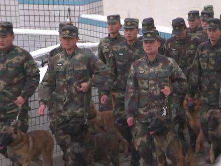 汪汪汪!东风家族新一批军犬入列