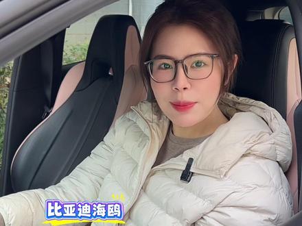 海鸥的智驾功能真的太好用了,车身小巧好开好停!小小麻雀五脏俱全嘿嘿#迪粉之声