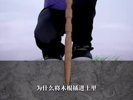 这种抓蚯蚓的方法你见过吗,为什么用一根棍子就能吸引蚯蚓爬到地面来呢?#科普 #蚯蚓 #涨知识#作品同步头条赢激励
