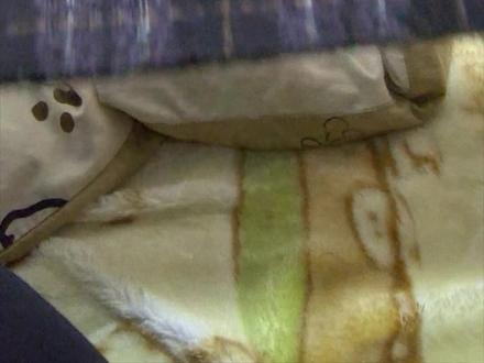 #围巾鱿鱼 #教程 #鱿鱼围巾 香芋小鱿鱼🥰