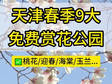 天津9大免费赏花公园!春日景色太美,值得一去! #赏花公园 #天津 #游玩攻略 #赏花🌸听歌🎶 #春暖花开 @抖音创作小助手 @抖音小助手